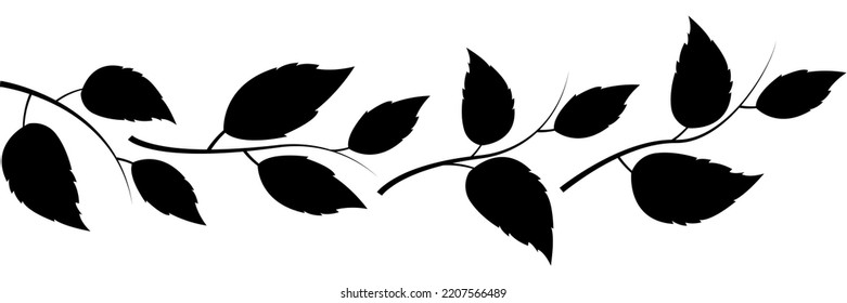 Silhouette leaves, natural branches isolated on white background. Design set of leaf in to use in environmental or health logos. Elements for eco and bio logos