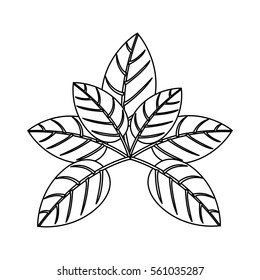 silhouette of leaves with ramifications