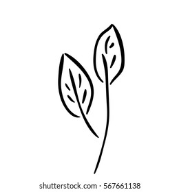silhouette leaves with ramifications icon flat