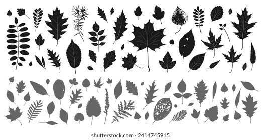 silhouette leaves set autumn background ,isolated vector design elements