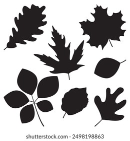 Silhouette leaves set autumn on white background isolated