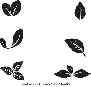 Silhouette Blätter Set einzeln. EPS10