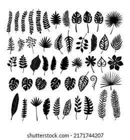 Silhouette leaves tropical set for print design Tropic foliage art background vector. Isolated plant illustration.