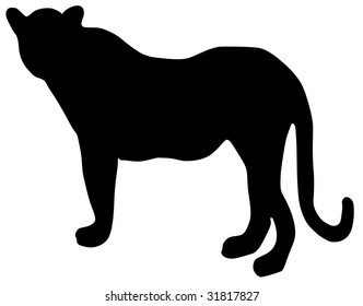silhouette of leopard