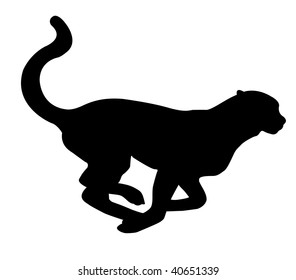 silhouette leopard