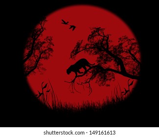 Silhouette of leopard on tree over red sunset, vector illustration