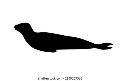 Silhouette leopard seal. Vector illustration of a black silhouette of a northern sea leopard isolated on a white background. Logo side view, profile.