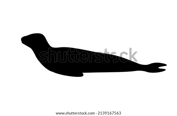 Silhouette leopard seal. Vector\
illustration of a black silhouette of a northern sea leopard\
isolated on a white background. Logo side view,\
profile.