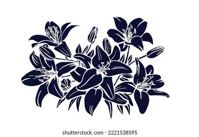 Silhouette Lily. Black outline on white background. Vector illustration.