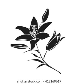 Silhouette Lily. Black outline on white background. Vector illustration.