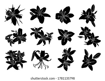 Silhouette of Lily flower in a contemporary simple abstract style on a white background. Vector illustration For t-Shirt Print, card, poster