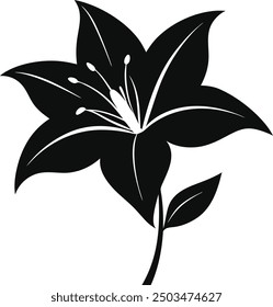 silhouette of lily flower vector on white.