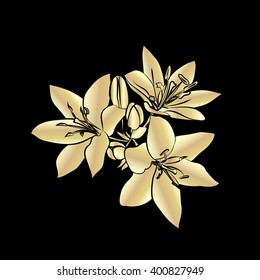 Silhouette Lily. Golden outline on black background. Vector illustration.