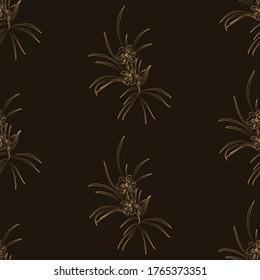 Silhouette of a lily on a dark background. Nature background.