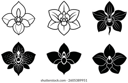 A silhouette and line art of orchid flower icon vector with-unique petal