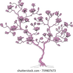 silhouette and line of cherry branch. Vector illustration of a tree.