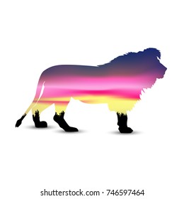 Silhouette of lion with african savannah and colorful sky. Sunset. 