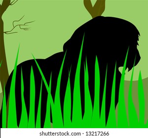 silhouette of lion in grass	