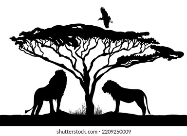 Silhouette of lions under a tree. Vector illustration