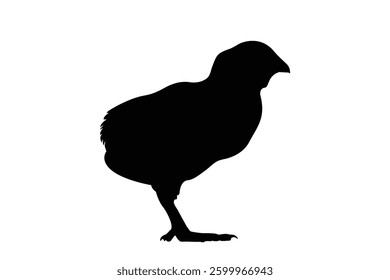 silhouette of a little chick vector icon illustration on white background.