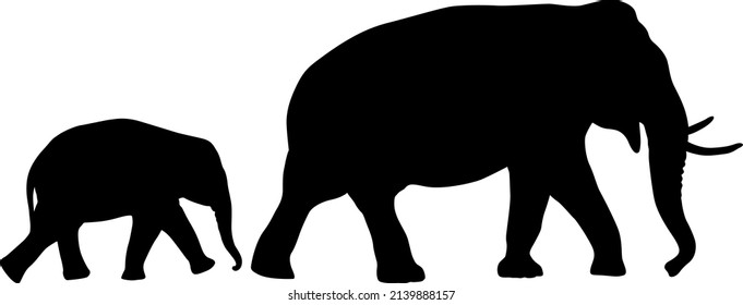 Silhouette a little and large African elephant on a white background