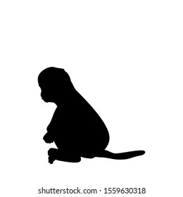 Silhouette of little Monkey. Cute young animal. Vector illustrator