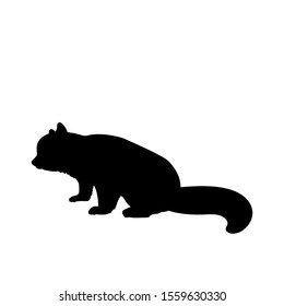 Silhouette little red Panda. Animal feline bear panda family. Vector illustrator