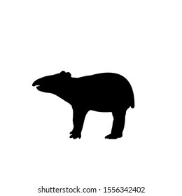Silhouette of little tapir. Cute young animal. Vector illustrator
