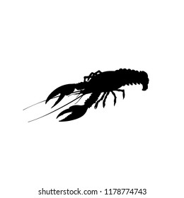 Silhouette of live lobster. Vector illustration isolated on the white background