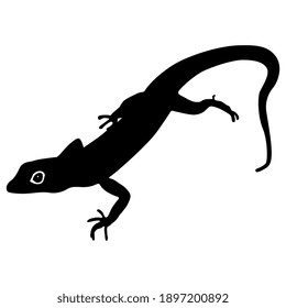 Silhouette of a lizard with eye. Isolated vector animal illustration.