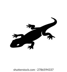 Silhouette of a lizard with a long tail and four legs, standing on a white background, showcasing its detailed outline and distinctive shape.