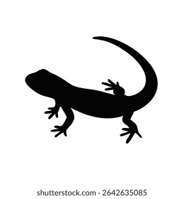 Silhouette of a Lizard on White