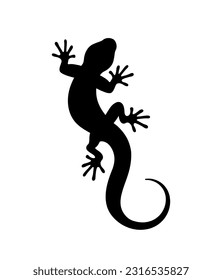 Silhouette of a lizard on a white background