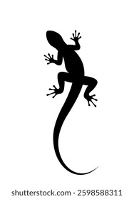 silhouette of a lizard, vector eps 10