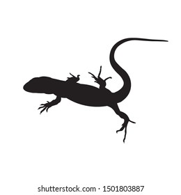 Silhouette of lizard. Vector illustration isolated on white background
