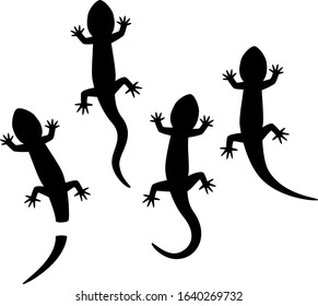 Silhouette of lizards in the top view