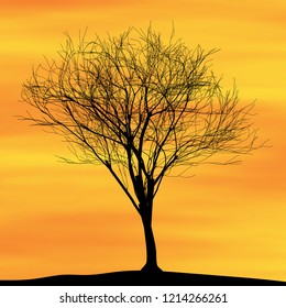 Silhouette of a lonely tree on a background of bright dawn sky, vector illustration, EPS10