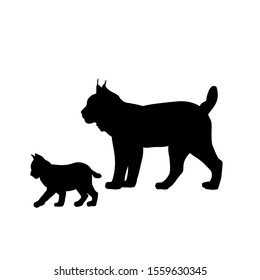 Silhouette of Lynx and young little Lynx. Vector illustrator