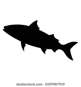 silhouette of a mackerel fish isolated on white