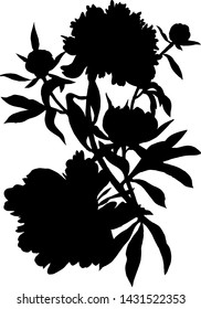 Silhouette made of peony flowers and petals. Flat botanical illustration. Black vector peonies branch on white background.