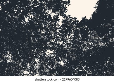 Silhouette Of Magnolia Tree. Vector Illustration.
