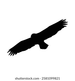 Silhouette of a majestic bird of prey in flight. Symbol of Eagle vector, Eagle Icon, Eagle Drawing.
