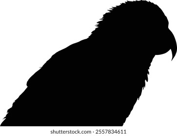 Silhouette of a majestic bird with a sharp beak and detailed plumage, set against a transparent background, highlighting its graceful profile and powerful features.