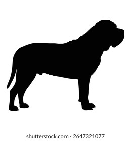  Silhouette of a majestic dog, standing proud and alert