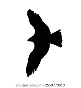 Silhouette of a majestic eagle in flight vector, symbolizing freedom, strength, and grace. Ideal for use in wildlife illustrations, educational materials, nature-themed projects.