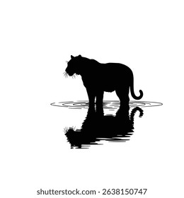 Silhouette: Majestic Tiger in Water with Mirror Reflection