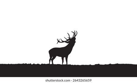 Silhouette of a Male Deer with Antlers Standing Alone in Wilderness