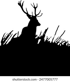 silhouette of a male deer with big antlers standing in the middle of a meadow

