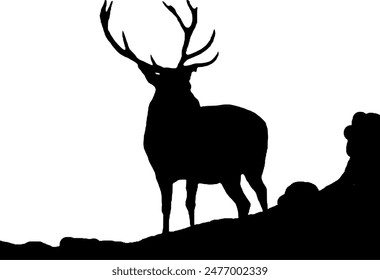 silhouette of a male deer with large antlers standing in the middle of the rocks

