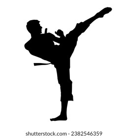 Silhouette of a male doing martial art kick pose. Silhouette of a martial art male doing kicking pose.